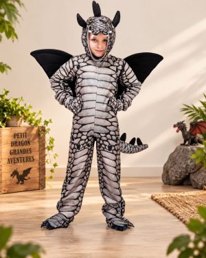 Déguisement Dinosaure Ailé